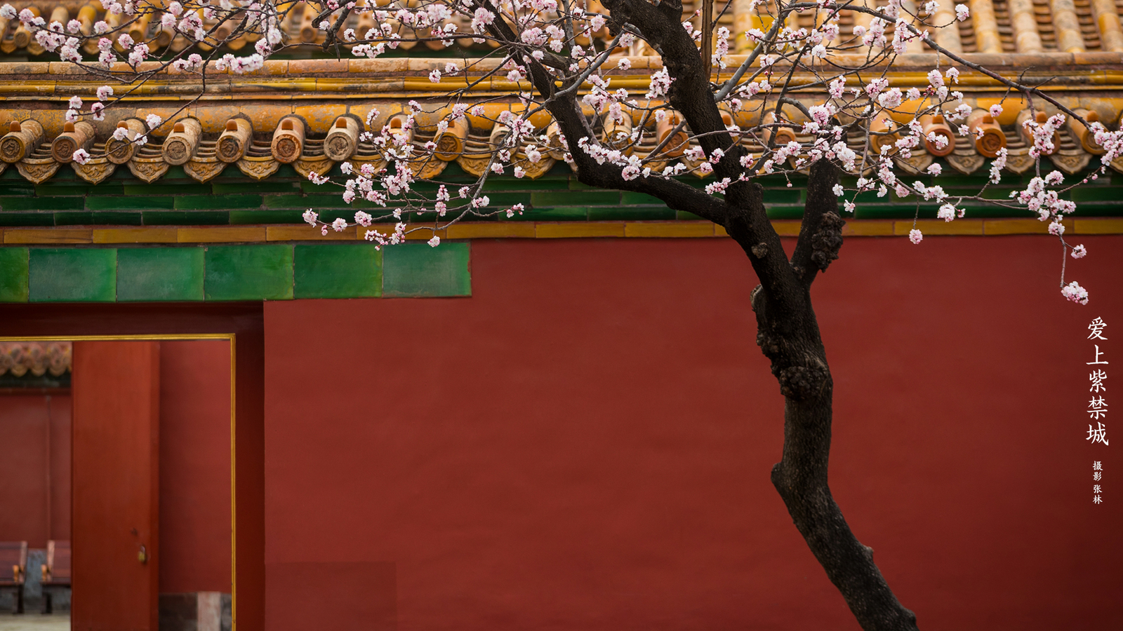 Landscape chinese architecture tree bark the imperial Custom Gaming Mat Desk