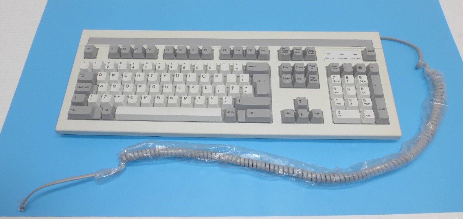 Vintage WYSE Technology 901866-01 Wired Keyboard IEPC U.S. WY55 WY60 WY160 WY520