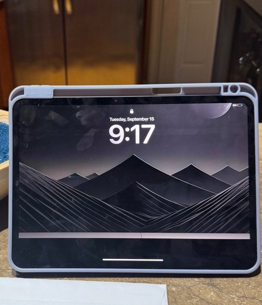 iPad Pro WIFI M4 11 inch 256gb EXCELLENT CONDITION with Apple Care plus