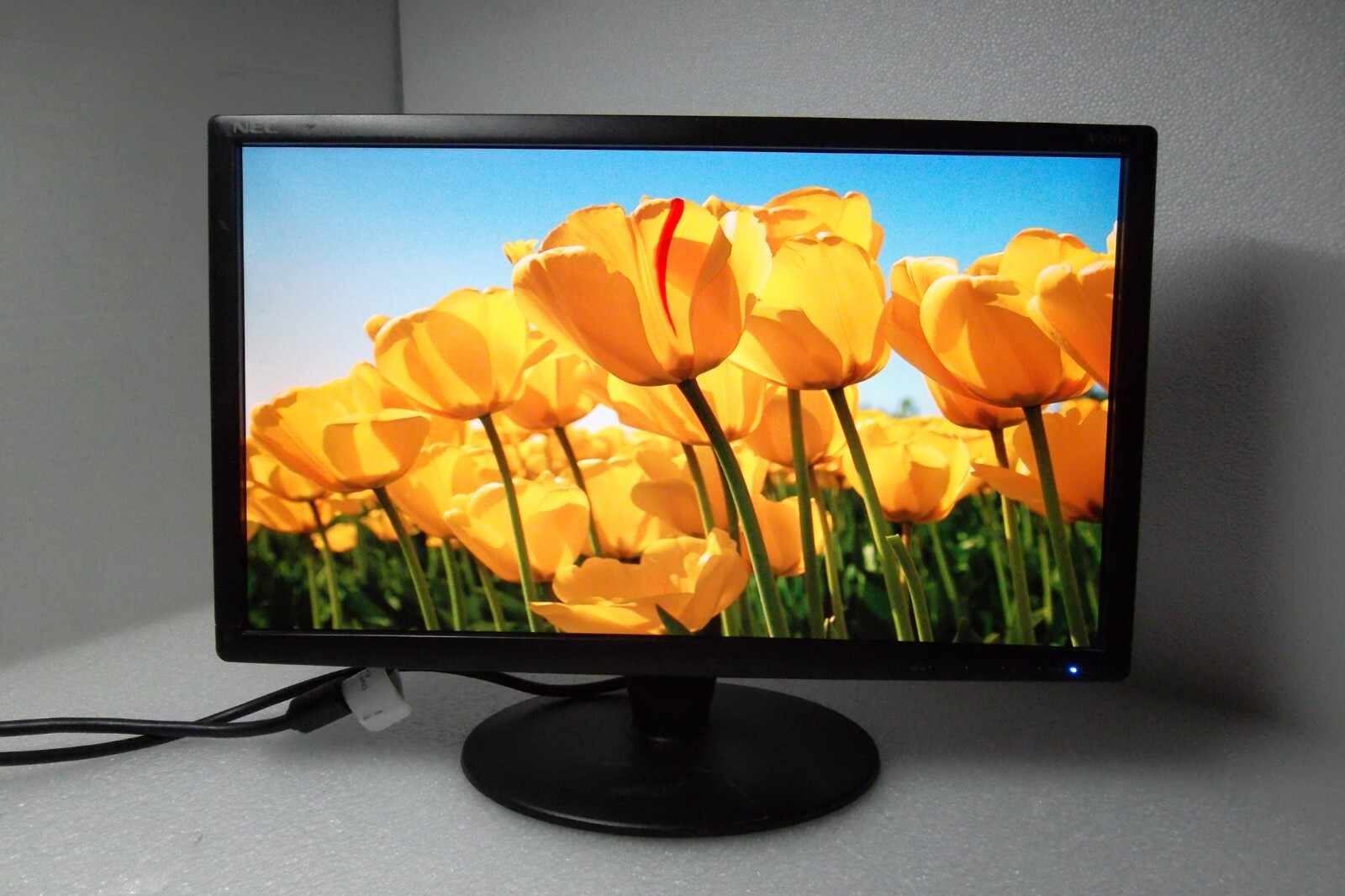 NEC V221W 22" Widescreen LCD Monitor VGA 1920 x 1080 Tilt 800:1 5ms OSD V221W-BK