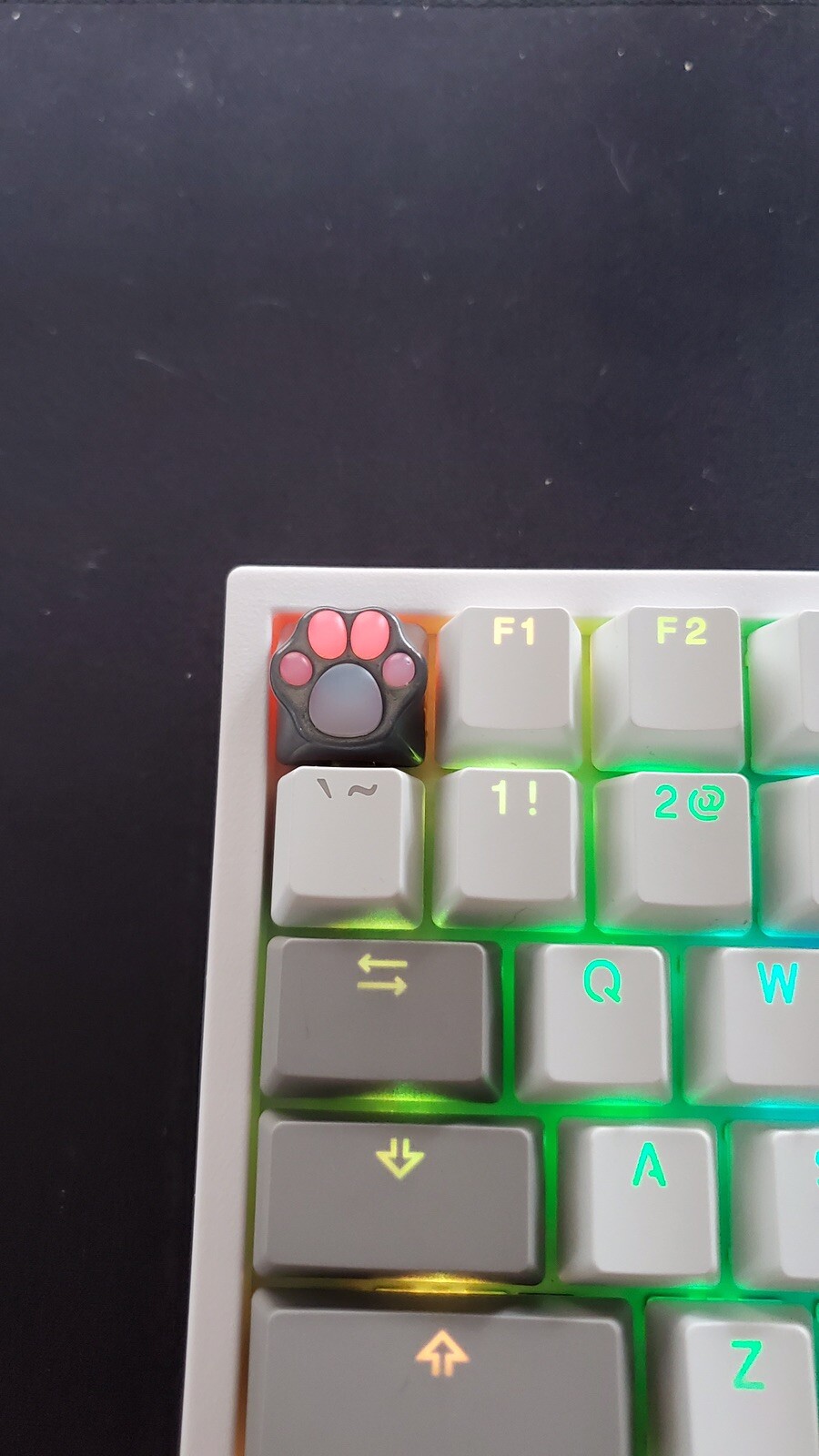 Cat Paw Keycap Shine Through Gray Squishy Mechanical Keyboard Cute Backlit