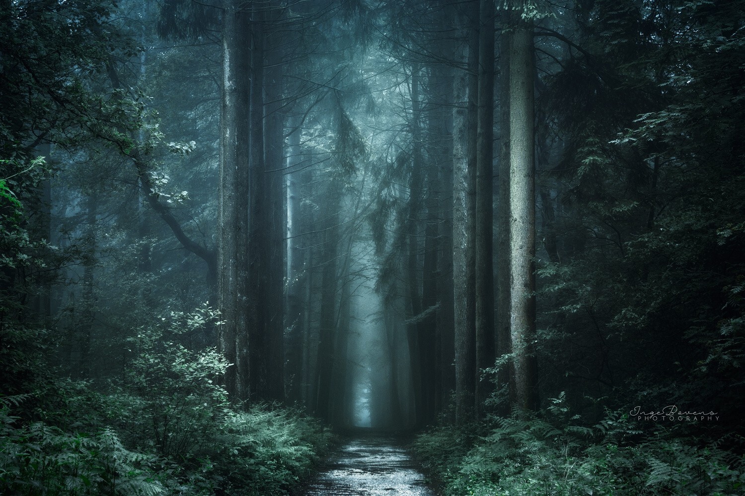 Landscape nature photography forest dark path fall trees Custom Gaming Mat Desk
