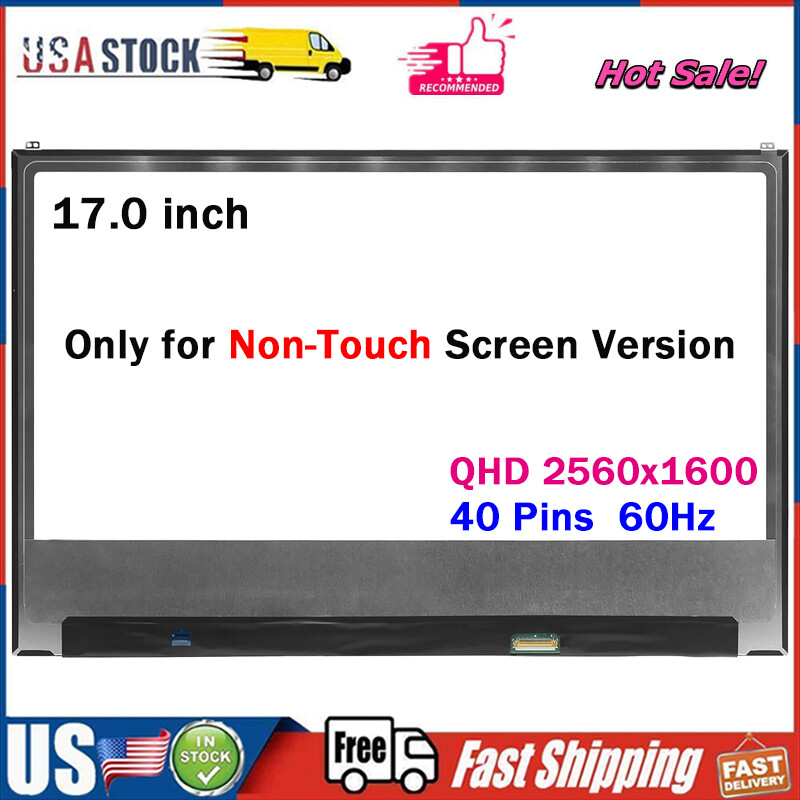 17" for LG Gram 17Z95P 17Z95P-K.AAS9U1 LCD Screen Display Replacement 2560x1600