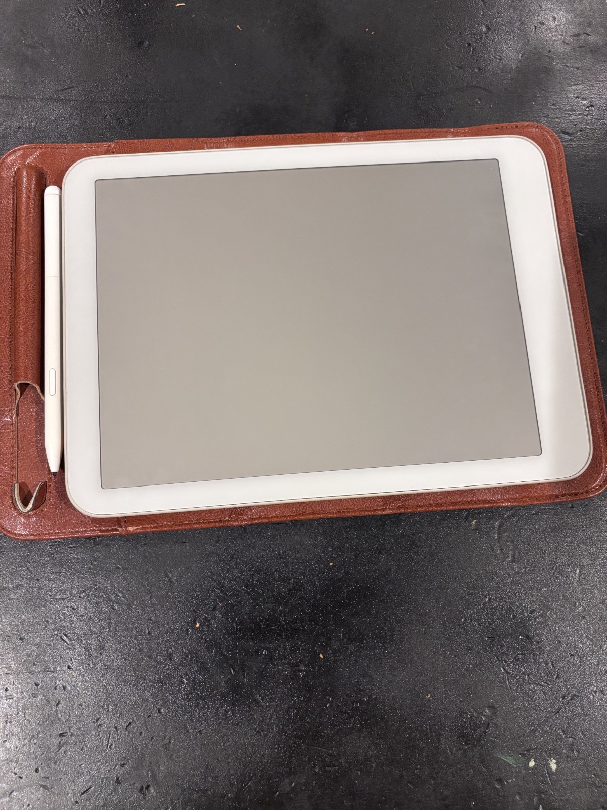 Used Daylight Computer DC-1 Tablet with folding leather case bundle