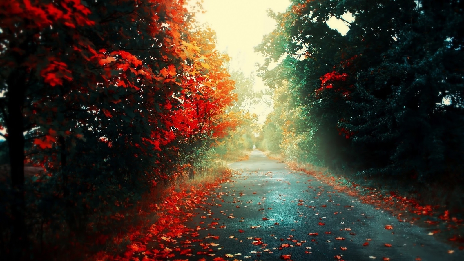 Landscape fall leaves road outdoors fallen plants Custom Gaming Mat Desk