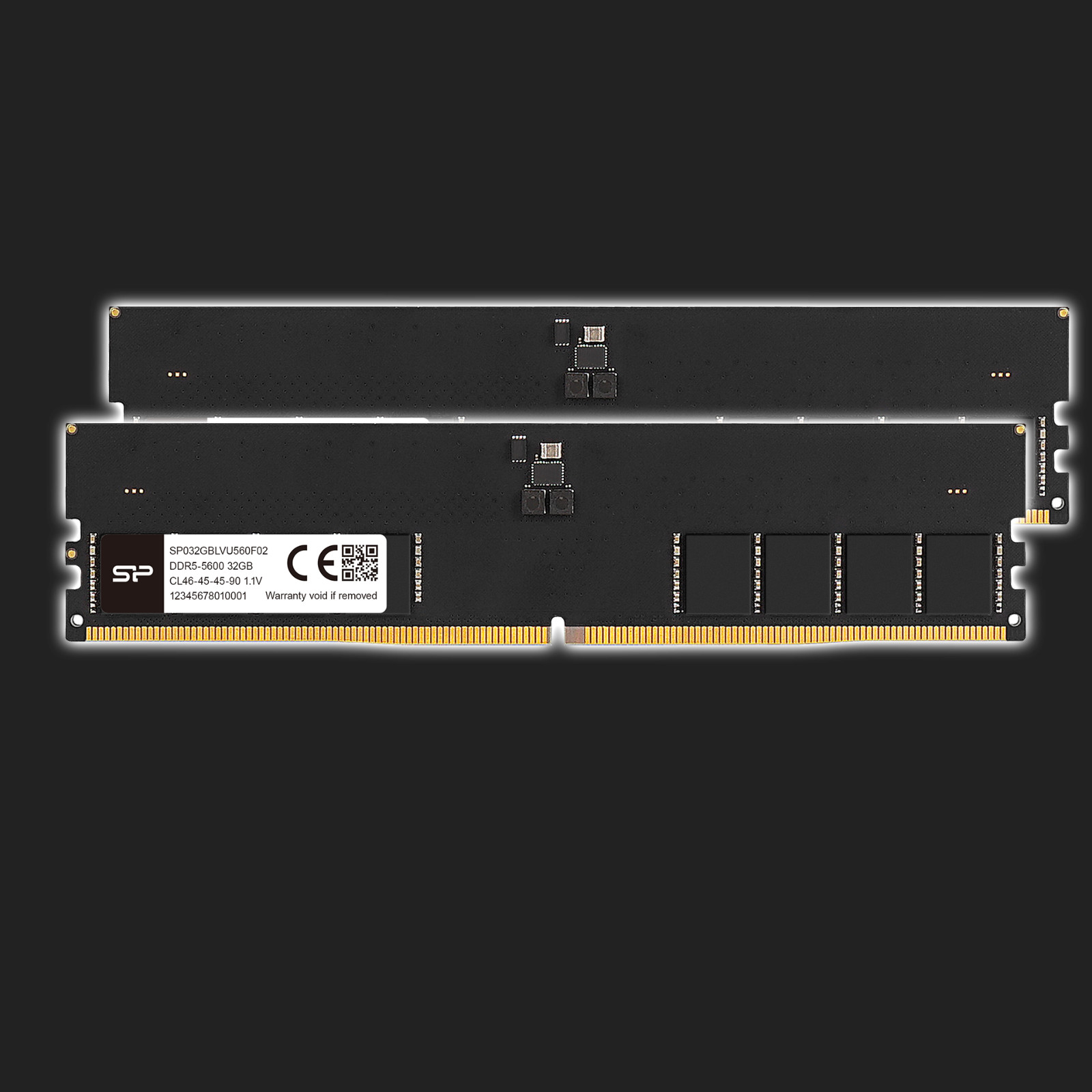 64GB RAM (2x 32GB) DDR5 5600MHz - Silicon Power SP032GBLVU560F02