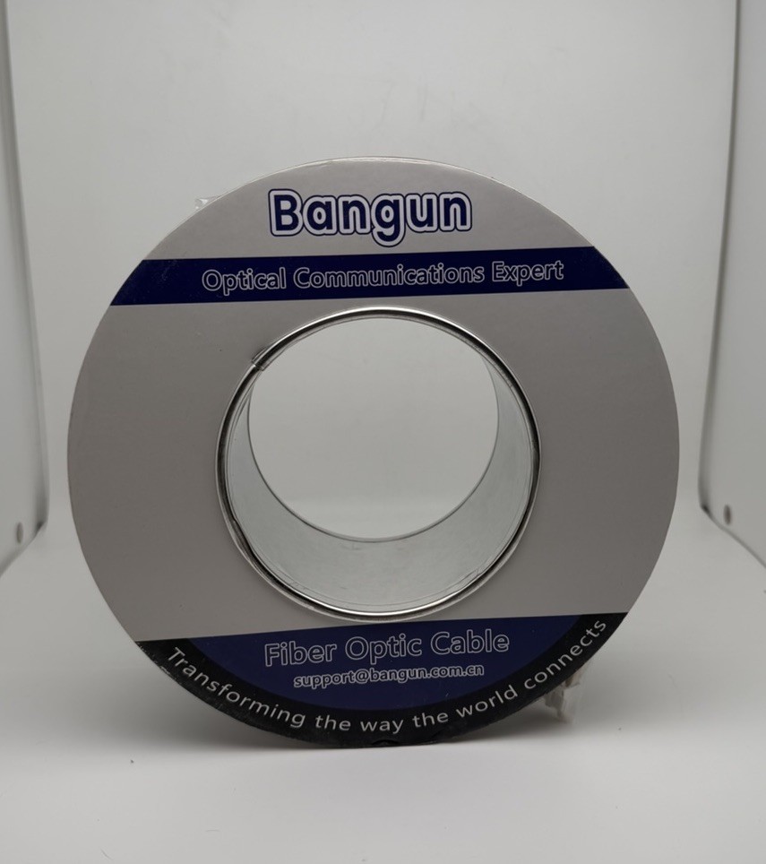 Bangun 100M OM3 Multimode Armored Fiber Patch Cable LC/UPC Duplex NEW