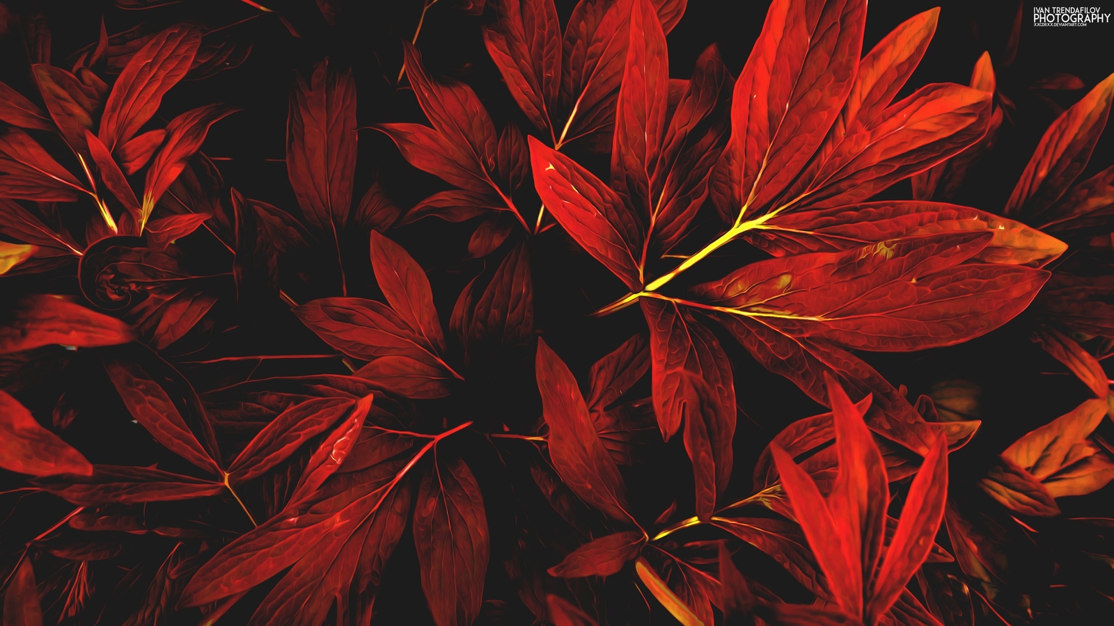 Landscape leaves nature red fall ivan Custom Gaming Mat Desk