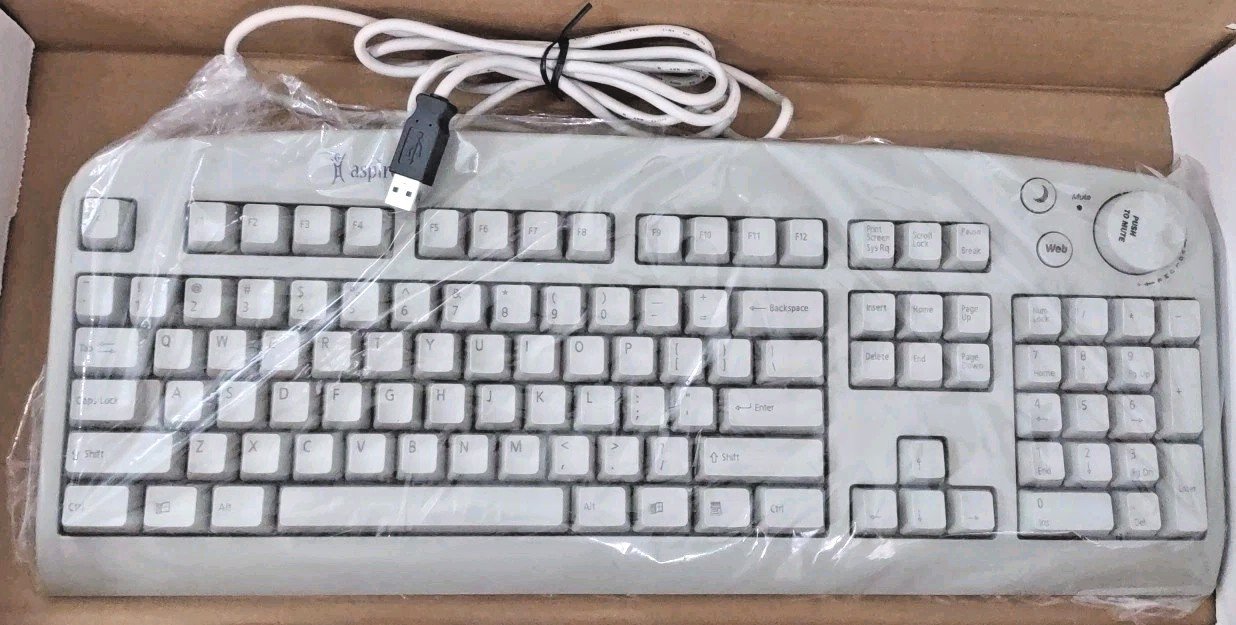 *SALE* RARE VINTAGE ACER ASPIRE 6511-HA WINDOWS BEIGE USB KEYBOARD RM0-KBRK