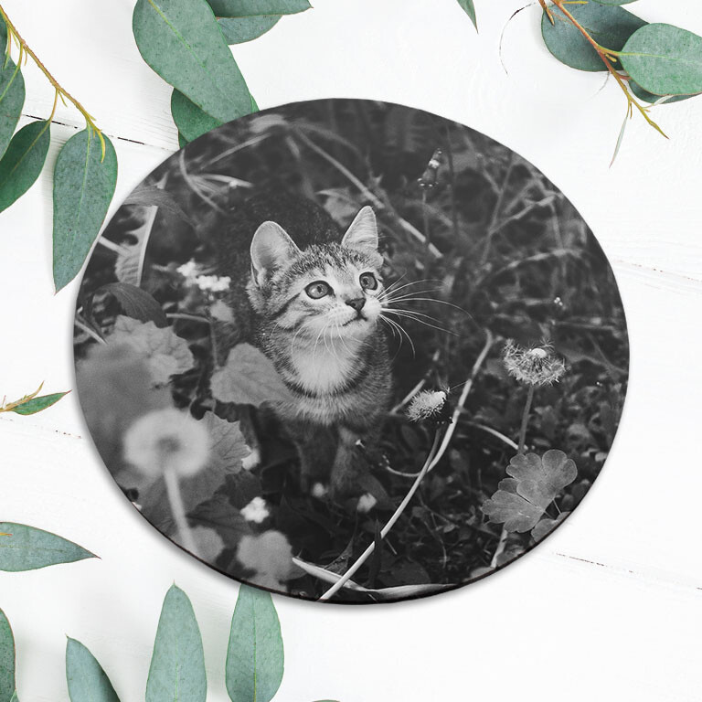 Cute Kitten Cat Nature Flowers Mouse Pad Mat Office Desk Table Accessory Gift
