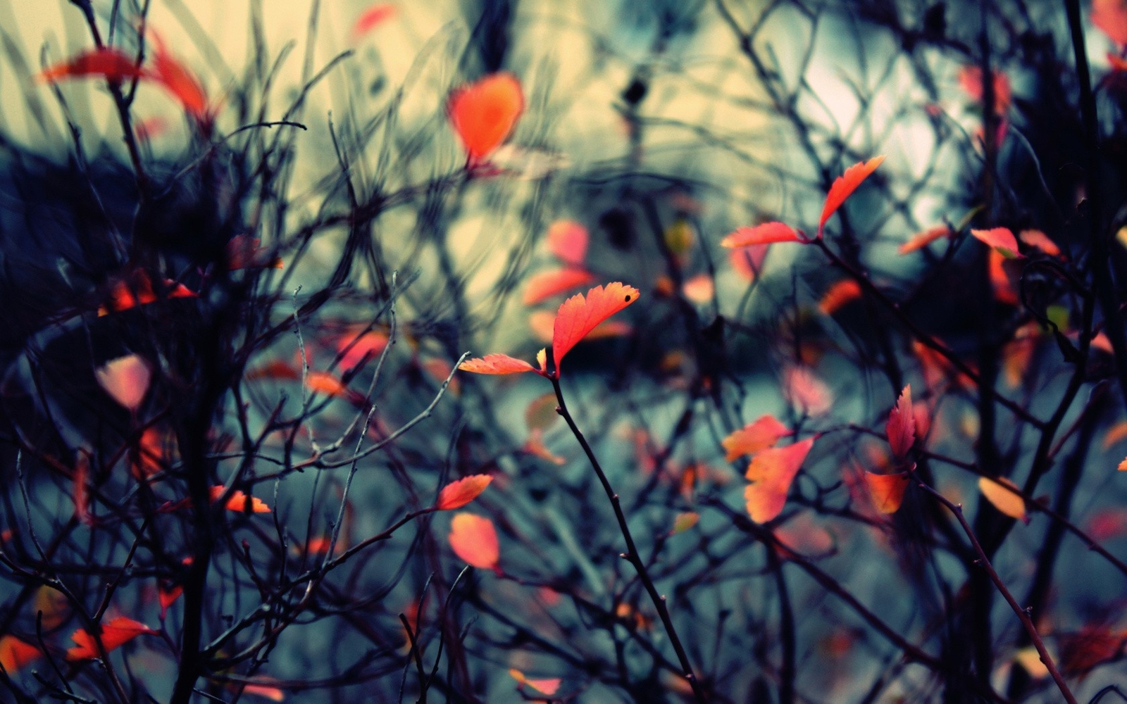 Landscape fall nature twigs leaves Custom Gaming Mat Desk