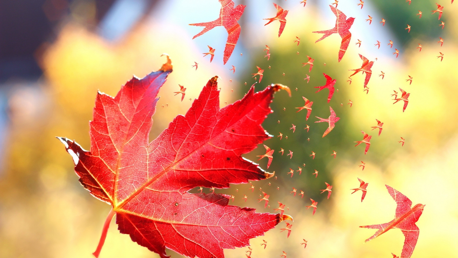Landscape nature leaves fall maple windy birds photo Custom Gaming Mat Desk