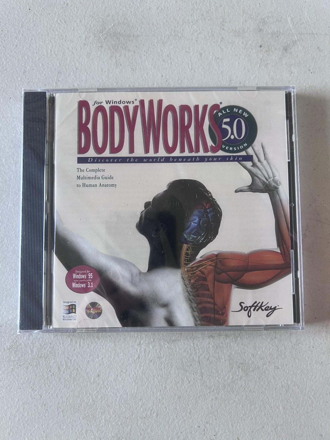 SoftKey BODYWORKS 5.0 Human Anatomy Multimedia Guide Software Windows PC