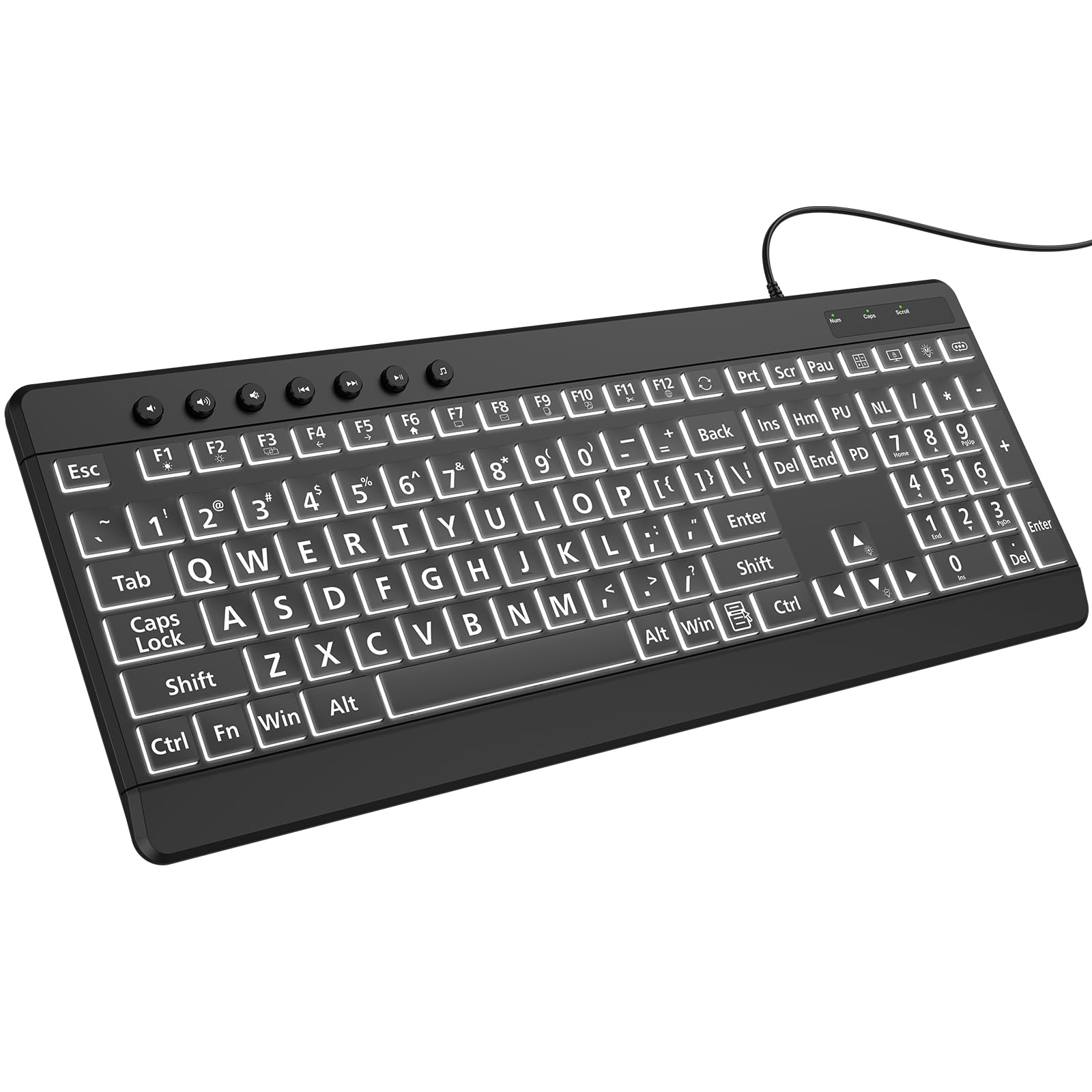 EDJO Large Print Backlit Wired Keyboard, 7-Color, Full Size, Spill-Resistant, Bl