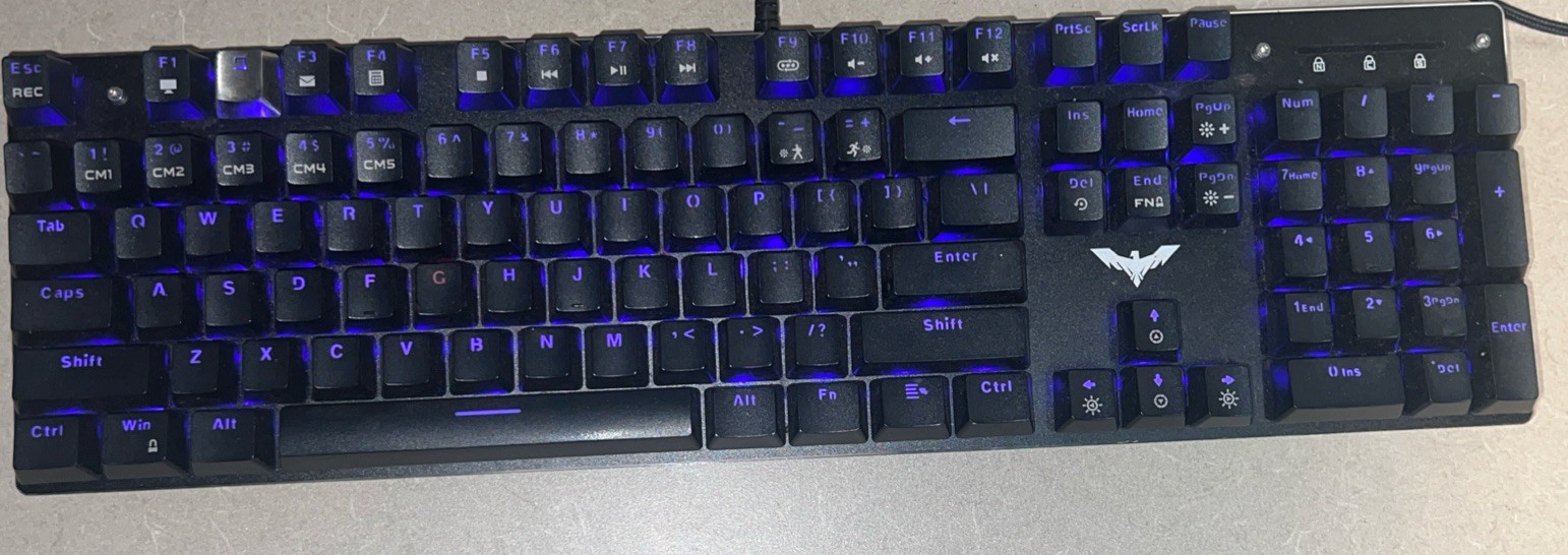 Havit Mechanical Gaming Backlit Keyboard HV-KB389L