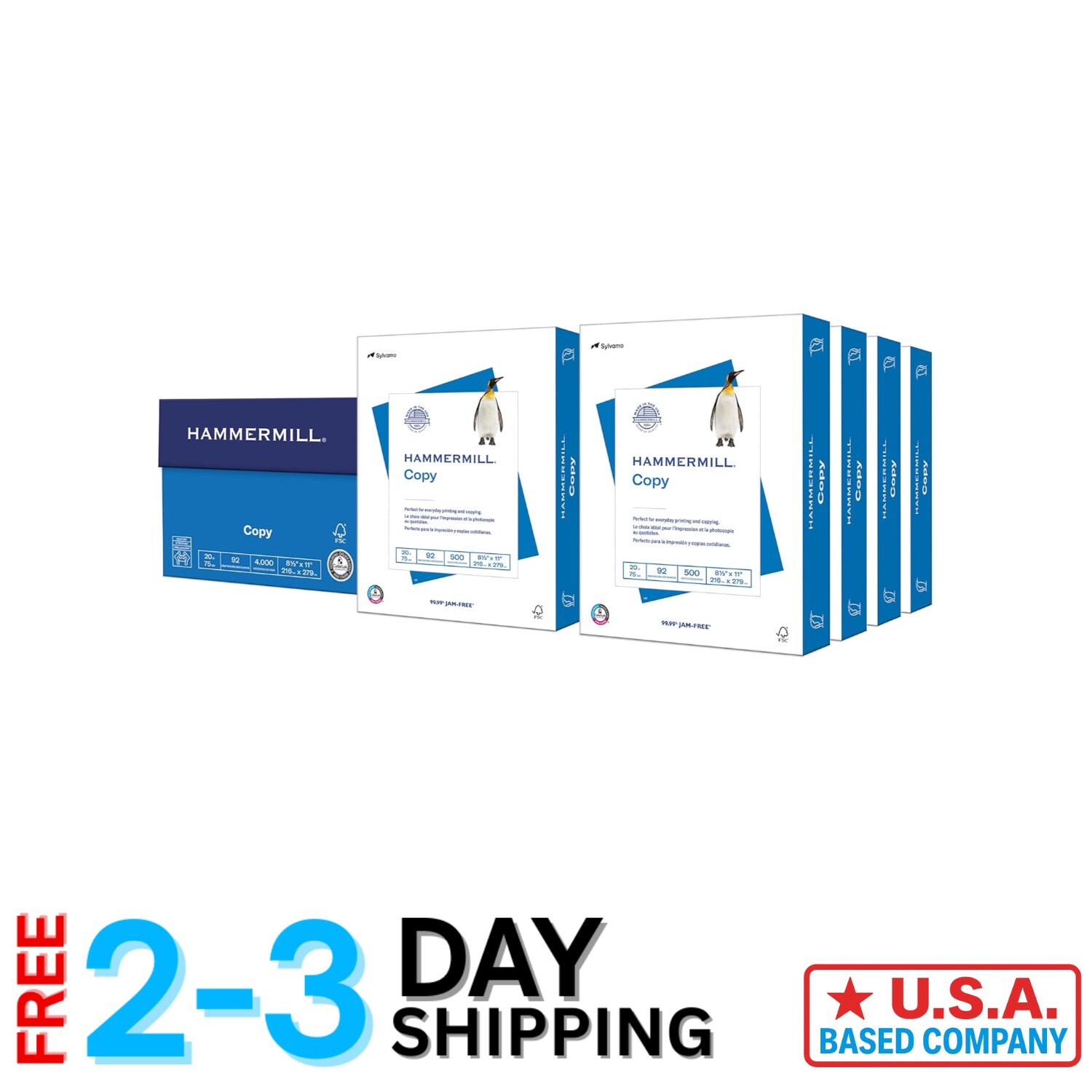 Reliable 20 lb Copy Paper, 8 Reams, 8.5 x 11, Bold & Bright, Perfect for Office