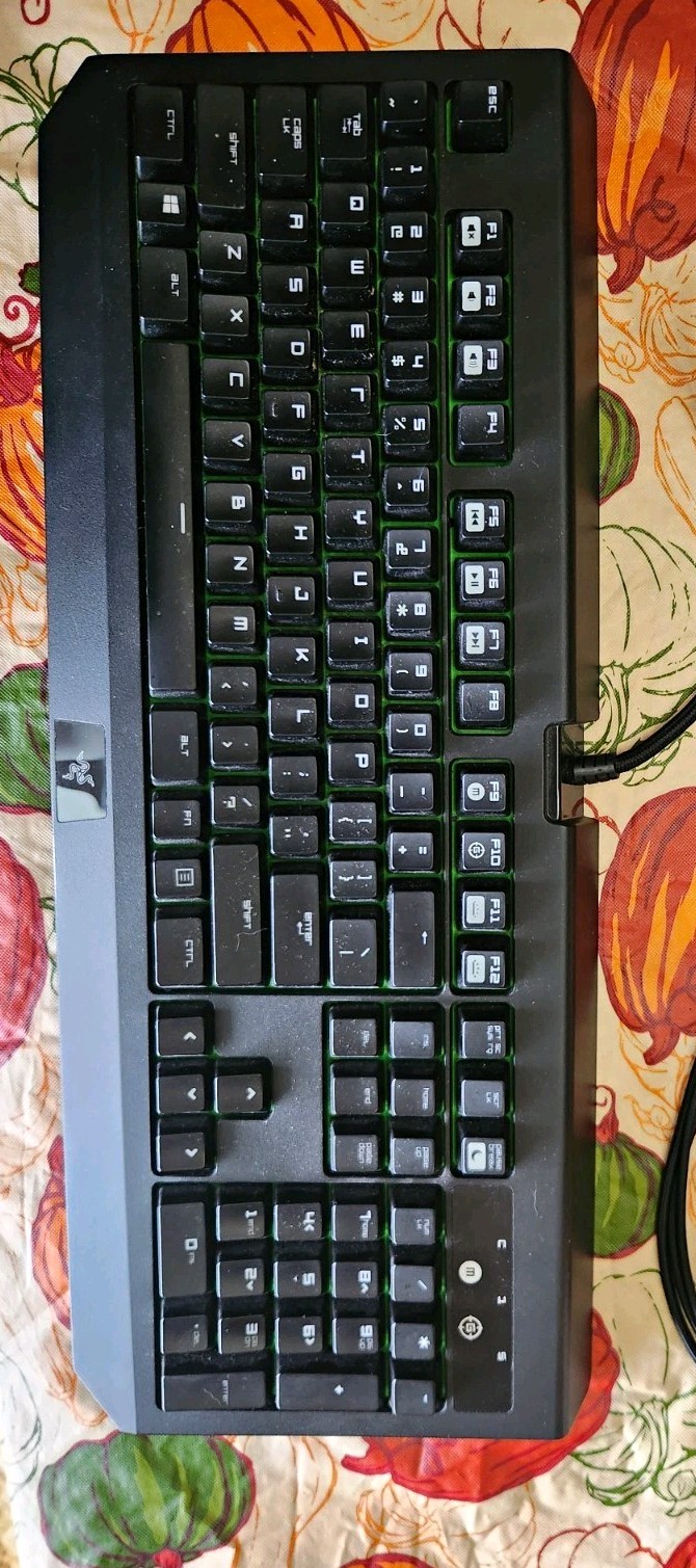 Razer Blackwidow Ultimate 2016 Wired Tested Works Great