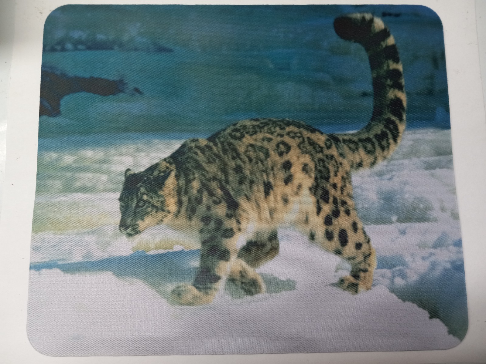 Snow Leopard Computer Mouse Pad