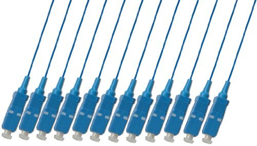 50M Outdoor Singlemode 12 x Strand Fiber Optic Cable 9/125 SC Patch Cable