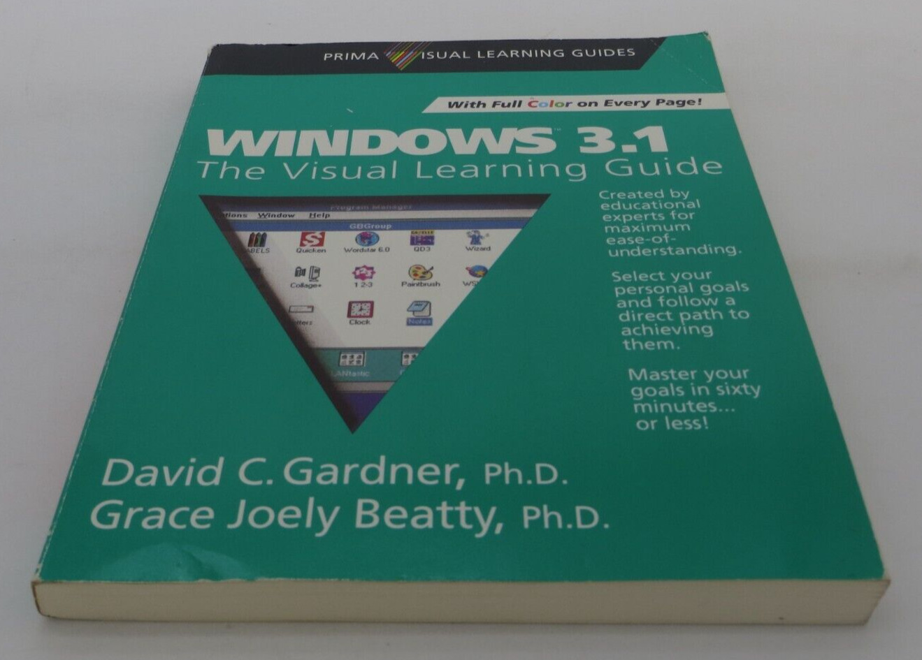 Windows 3.1 The Visual Learning Guide 1992 Prima vintage computer manual book