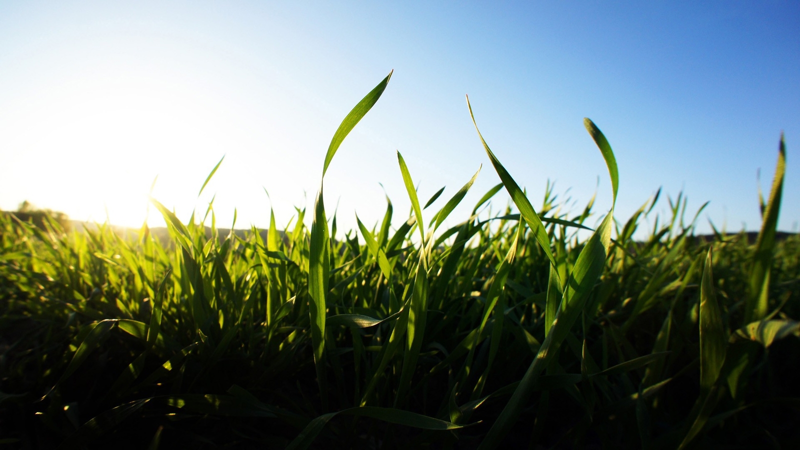 Landscape grass blurred depth of field nature green Custom Gaming Mat Desk