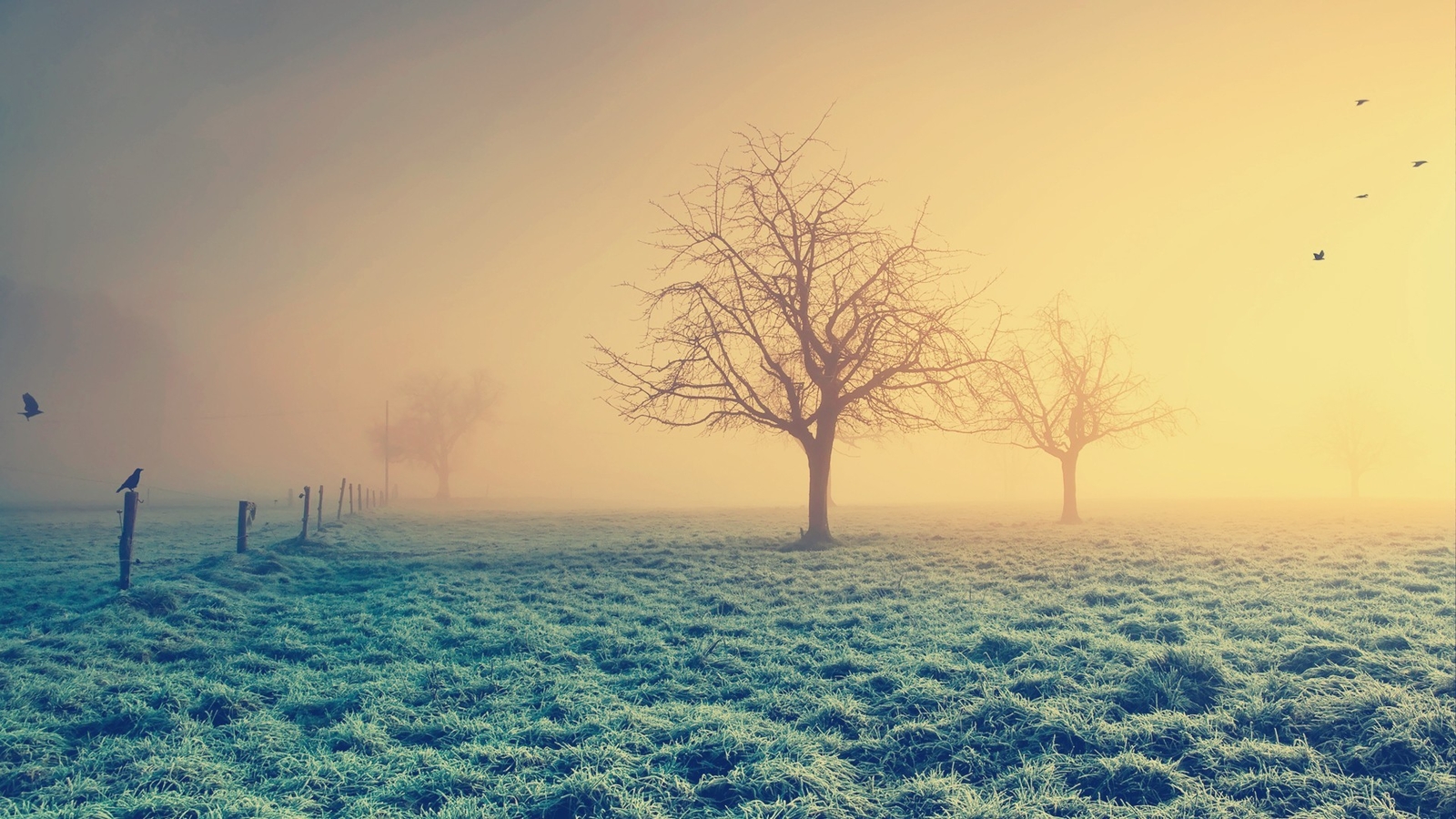 Landscape filter nature trees mist grass winter birds Custom Gaming Mat Desk