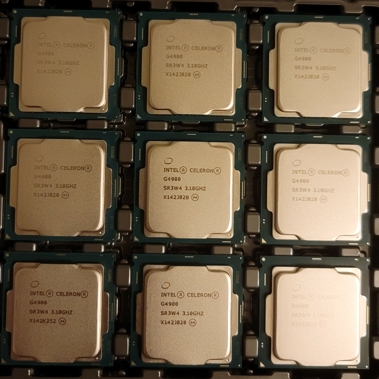 Intel Celeron G4900 Desktop Tray Processor 2 Core 3.1 GHz LGA 1151 300 Series
