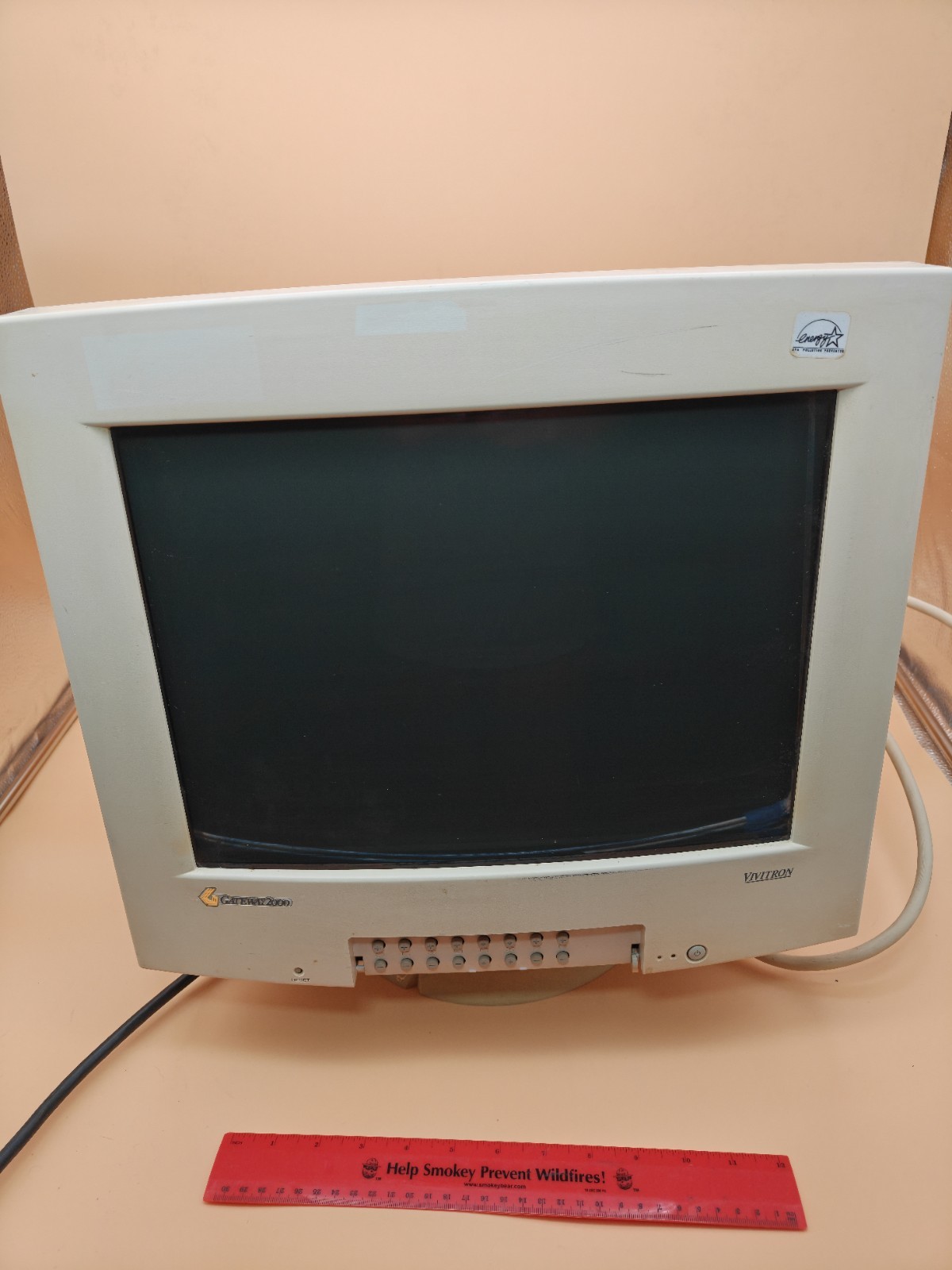 Vintage Gateway 2000 Vivitron CPD-GF250T 17" CRT VGA Monitor Untested