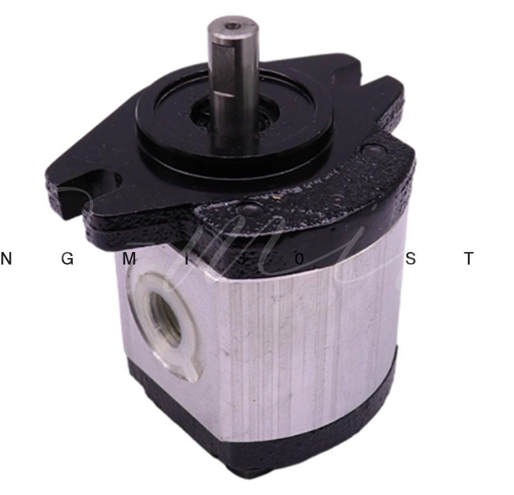 1PC NEW FIT FOR 1P2R11N Replacement Gear Pumps FedEx or DHL