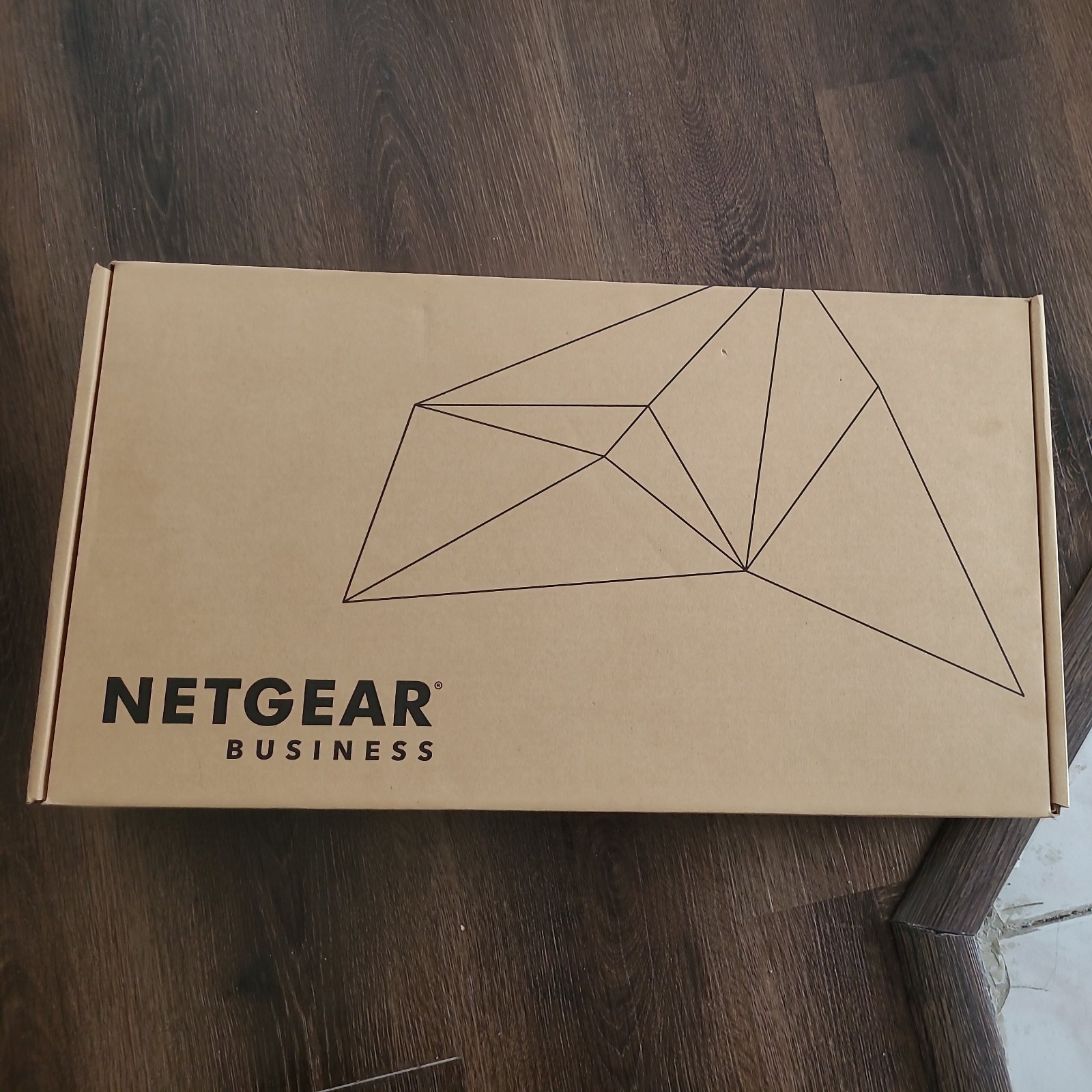NETGEAR GS752TSB100NAS Ethernet Switch