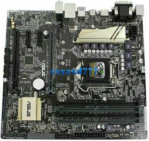 ASUS z170m-plus Motherboard Socket LGA 1151 Intel Z170 DDR4 micro ATX SDRAM