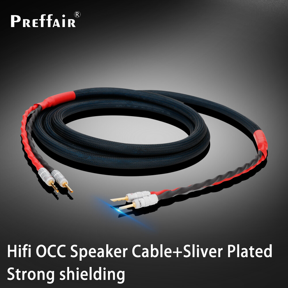 Pair Silver Plated Speaker Cable OCC Copper Line with Gold Plated Banana Plugs