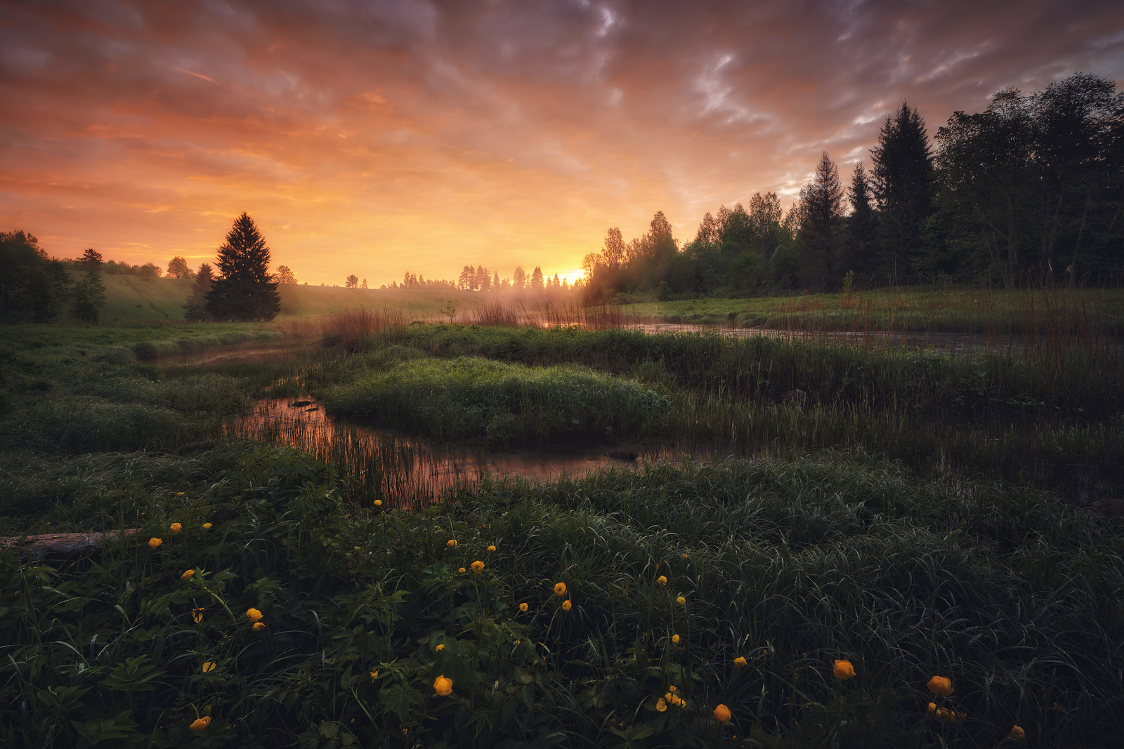 Landscape anton kononov field sunset clouds flowers Custom Gaming Mat Desk
