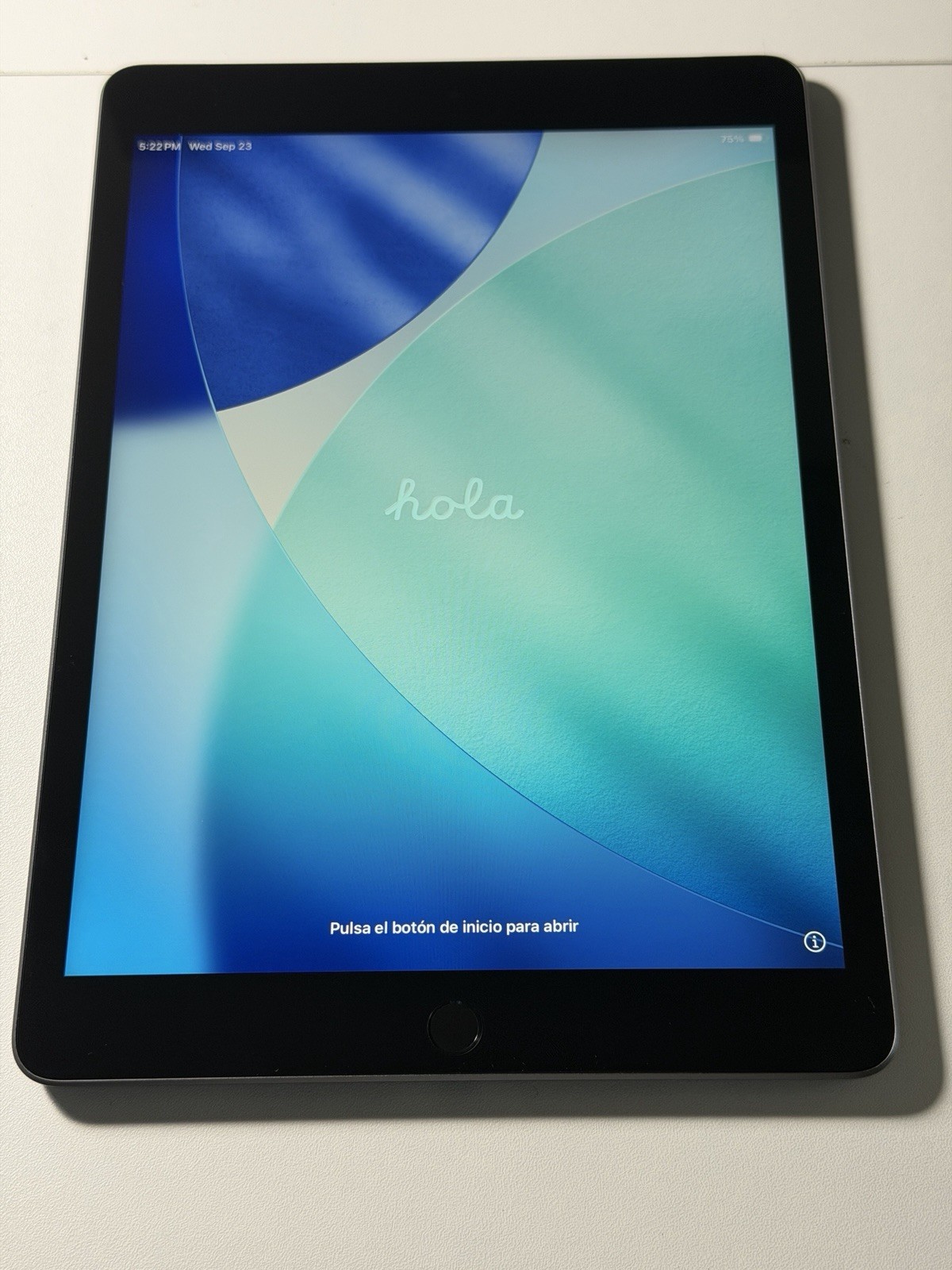 iPad 9th Generation 10.2" 64GB Wi-Fi + Cellular - A Grade, 100% BH