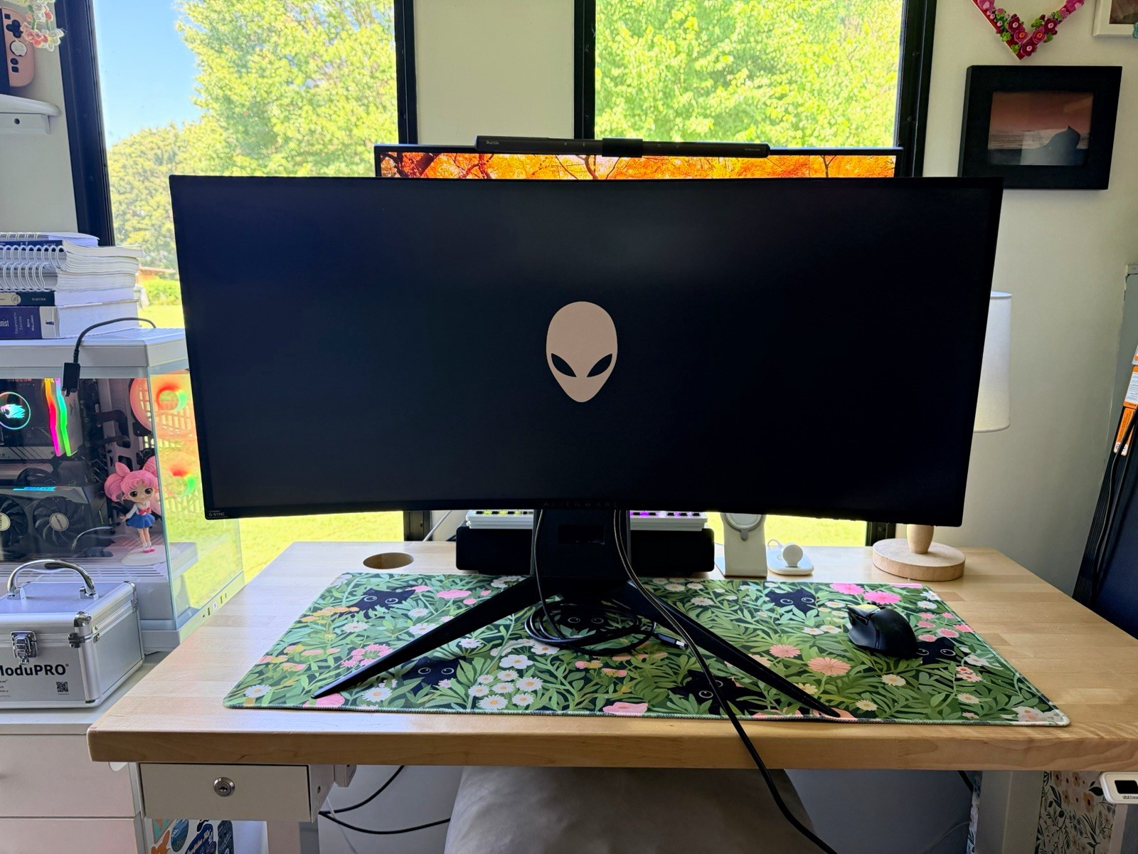 Alienware AW3418DW 34in Curved Ultrawide 3440x1440 120Hz HDMI/DP