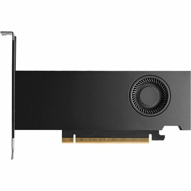 PNY NVIDIA RTX™ PRO 2000 Graphic Card 16 GB GDDR7 Full-height/Low-profile