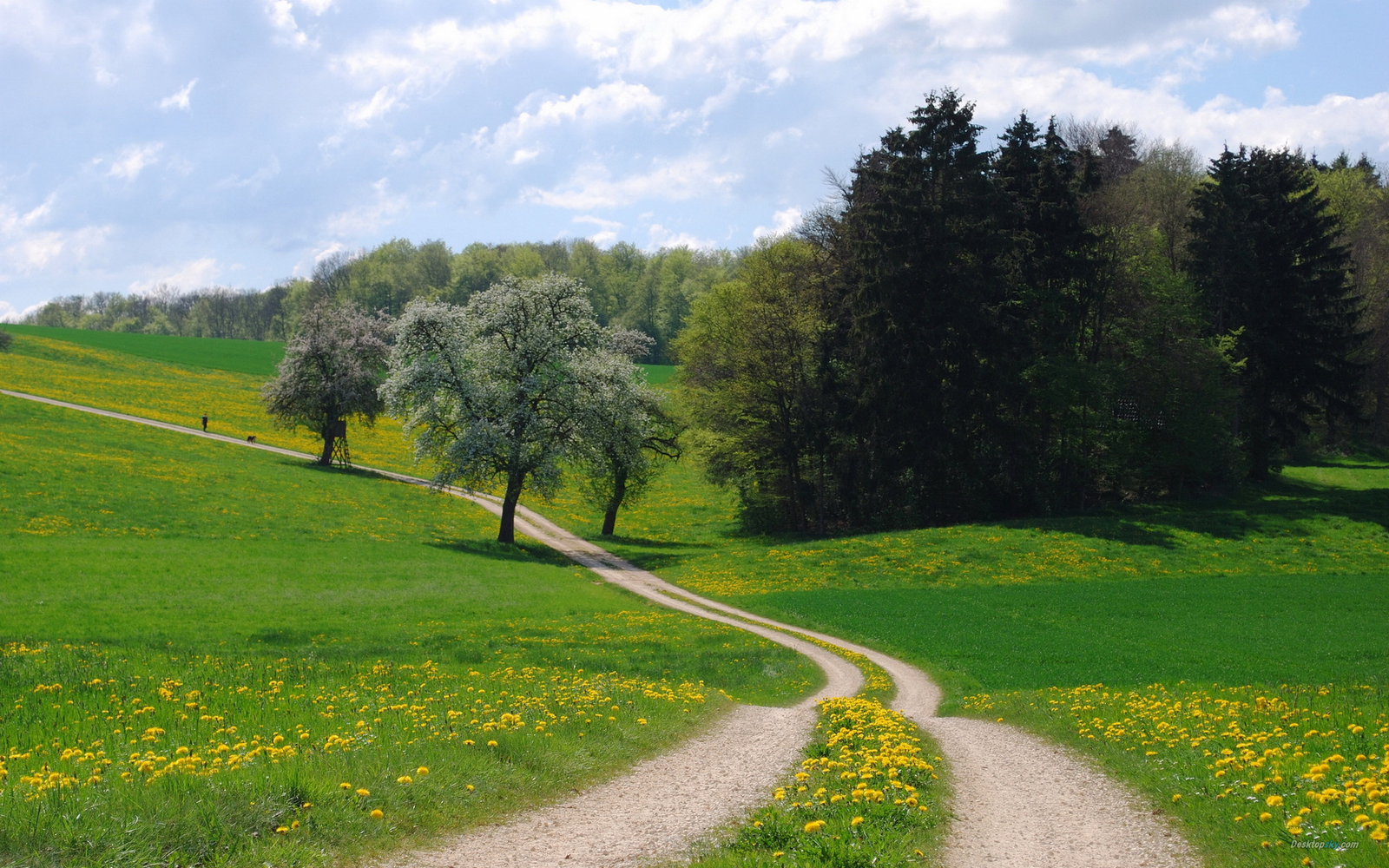 Landscape trees grass flowers clouds Custom Gaming Mat Desk