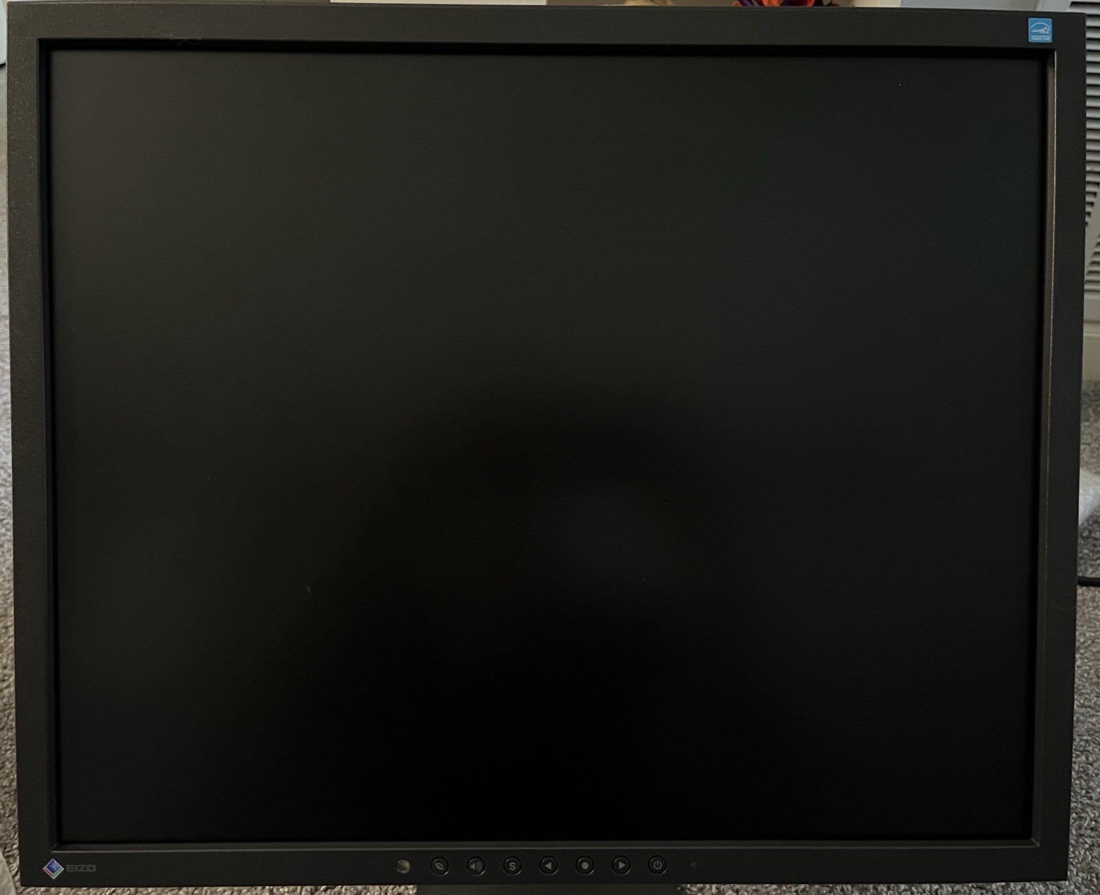 EIZO FlexScan S1933 Color,  19inch, Used