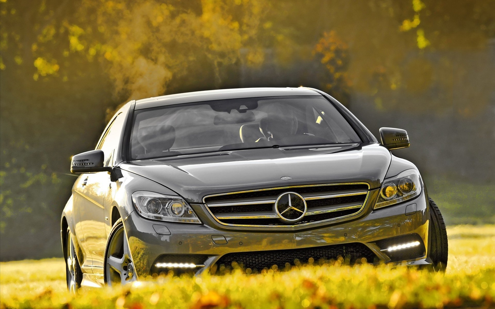 Cars nature trees grass silver mercedes Desk Mat Stitched