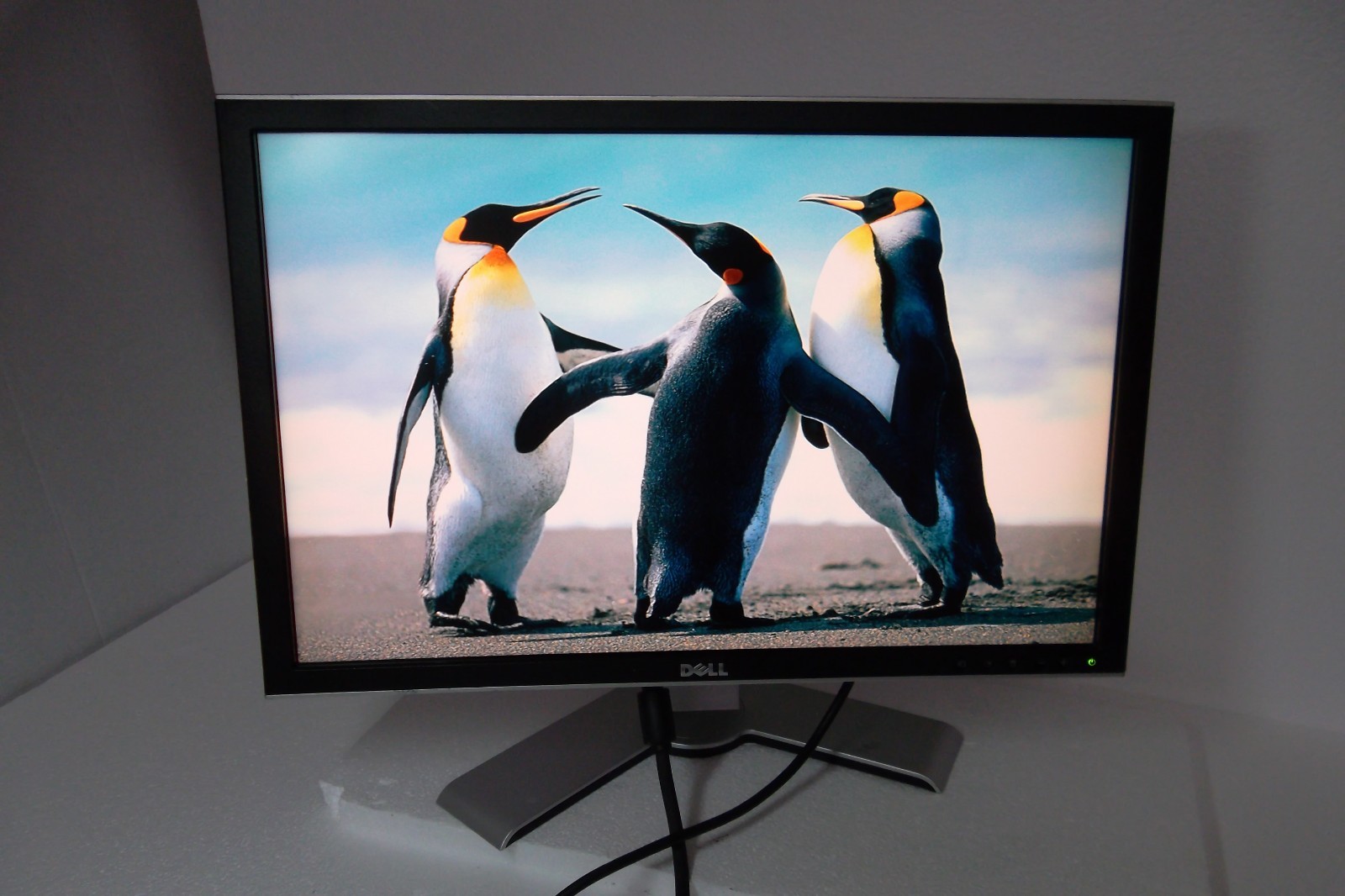 Dell 2407WFP-HC Wide UltraSharp LCD Monitor 24" w/4-Port USB Hub VGA DVI GM504
