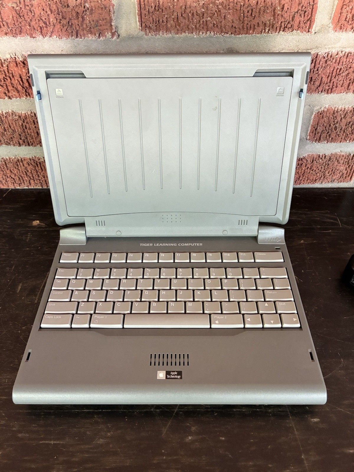 Rare Tiger Learning Computer   91-001  Apple II Technology  Clone.