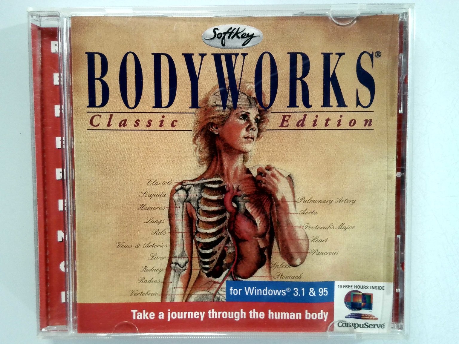 SoftKey BODYWORKS Classic Edition PC Software Windows 3.1 95 Anatomy Human Body
