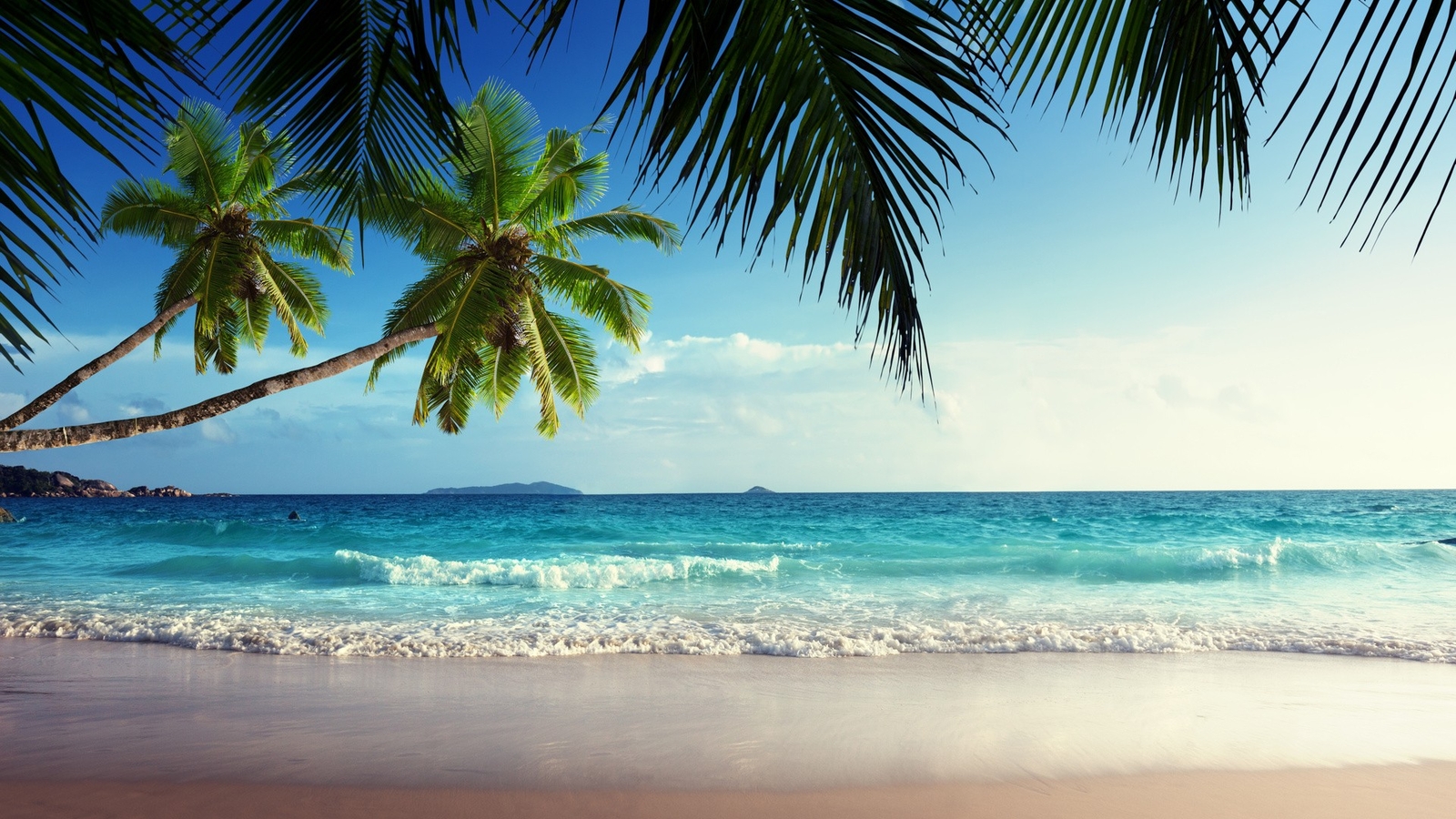 Landscape palm trees sea tropical Custom Gaming Mat Desk