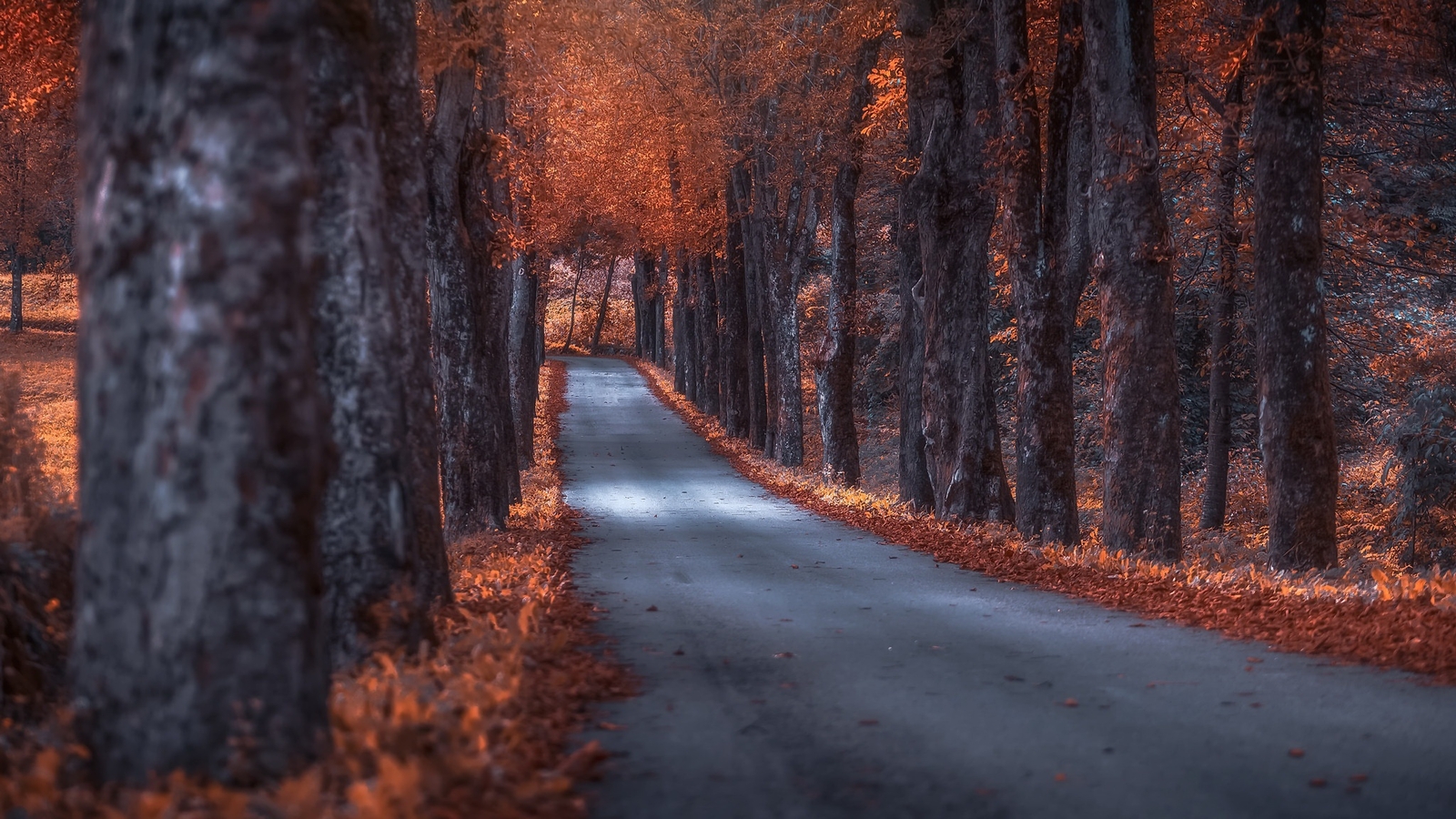 Landscape road fall Custom Gaming Mat Desk