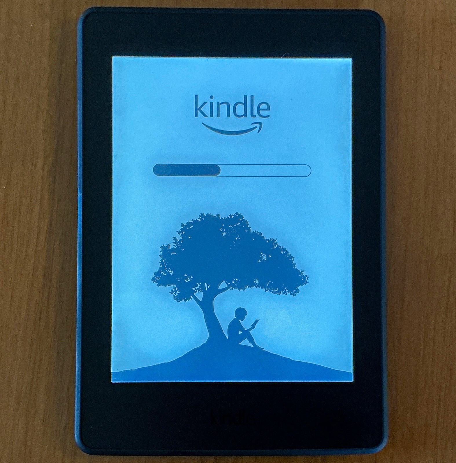 Amazon Kindle Paperwhite (7th Gen) 6in eBook Reader Wi-Fi 3GB Black