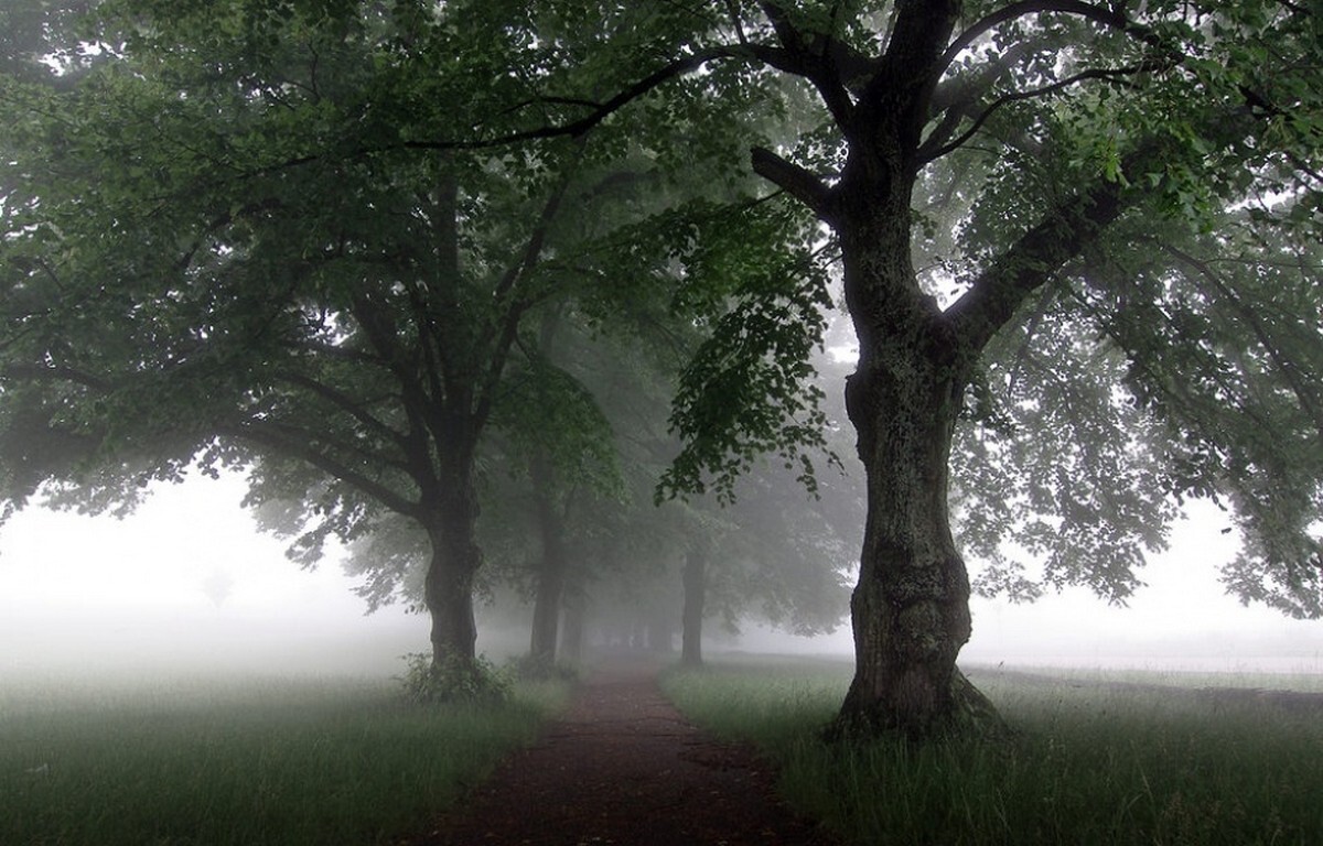 Landscape nature mist path trees morning grass green Custom Gaming Mat Desk