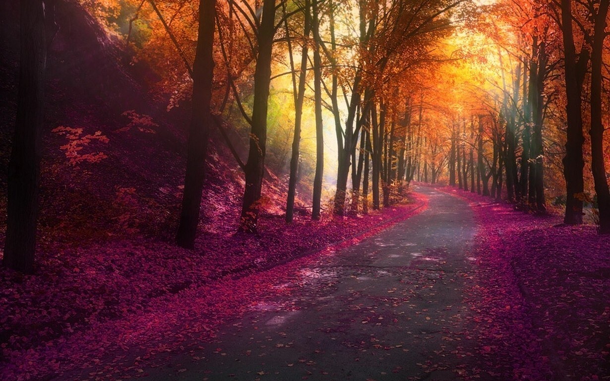 Landscape nature fall park trees colorful leaves hills Custom Gaming Mat Desk
