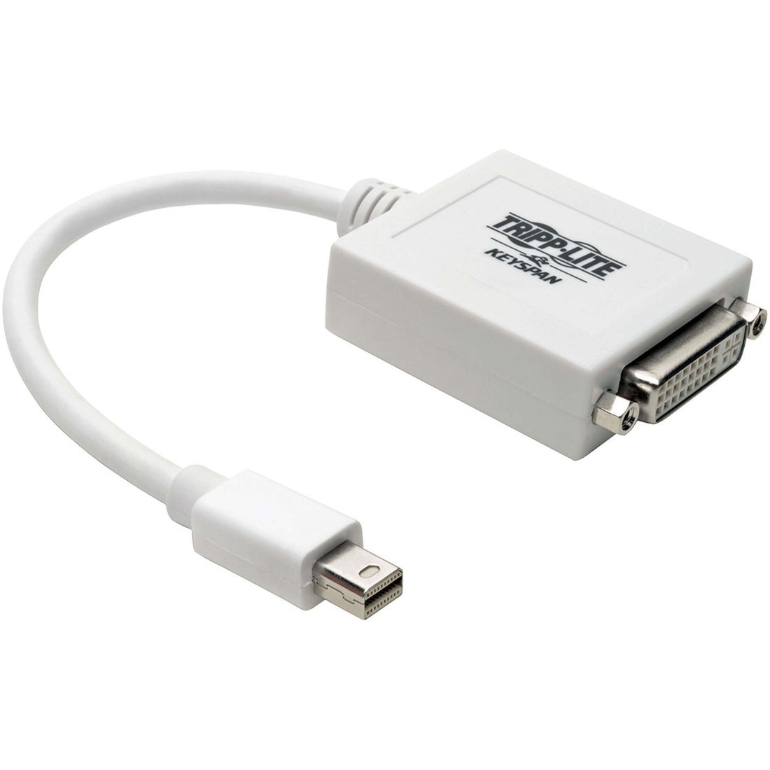 Tripp Lite 6in Keyspan Mini DisplayPort to DVI Adapter Model P137-06N-DVI