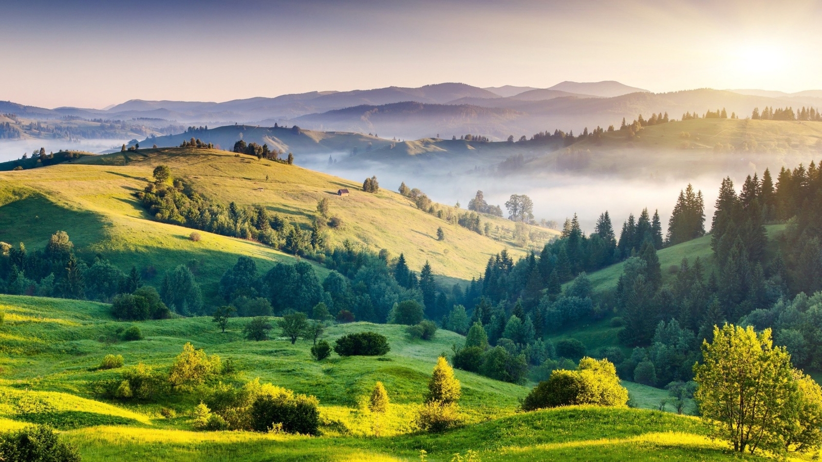 Landscape forest grass mountains mist daylight nature Custom Gaming Mat Desk