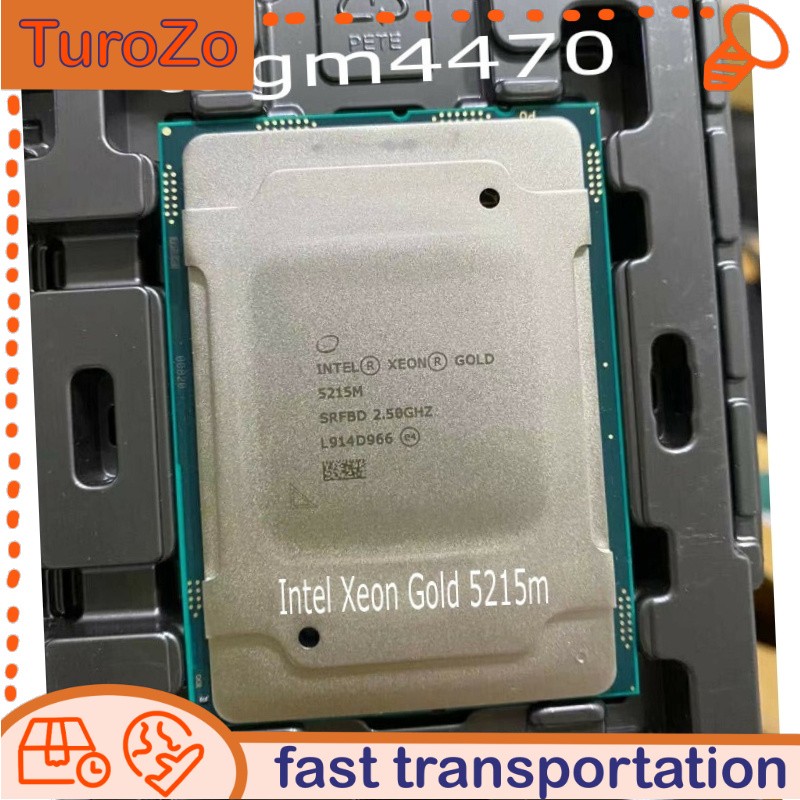 2.5ghz Intel Xeon Gold 5215m official version 10 cores 20 threads server CPU